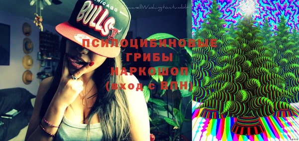 МДПВ Алексин