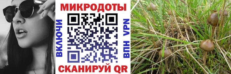 Галлюциногенные грибы GOLDEN TEACHER  кракен ССЫЛКА  Ялуторовск  хочу  