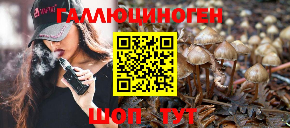 Ялуторовск  Псилоцибиновые грибы GOLDEN TEACHER  Вход с VPN 